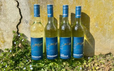 Jahrgang 2021 – typisch südsteirisch