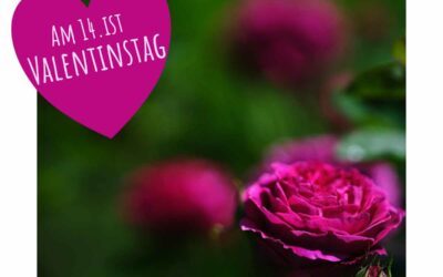 Valentinstag – Frizzante